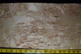 Karelian Birch Burl Raw Wood Veneer Sheets 10.5 x 25 inches 1/42nd thick