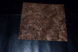 Walnut Burl Raw Wood Veneer Sheets  10  x 11 inches 1/42nd thick
