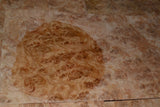 Oak Burl Raw Wood Veneer Sheets 8 x 22 inches 1/42nd thick