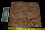 oak burl raw wood veneer sheets