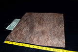 Walnut Burl Raw Wood Veneer Sheets 15 x 15 inches 1/42nd thick
