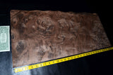 Walnut Burl Raw Wood Veneer Sheets 13 x 31 inches 1/42nd thick